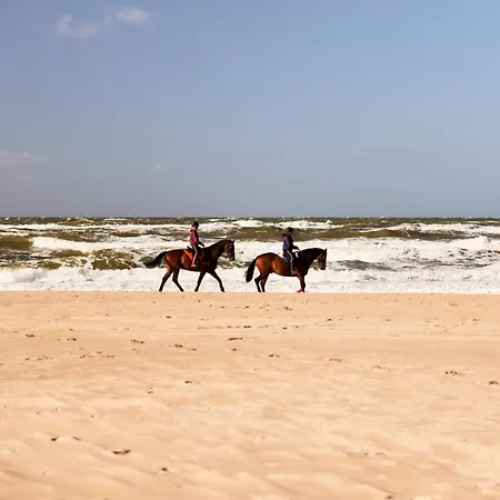 Appartement Collection